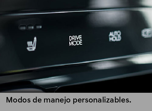 All-new Staria Confort